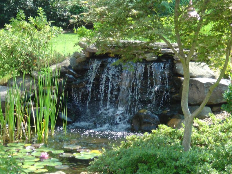 Water features can be like this serene waterfall over natural stone koi pond.