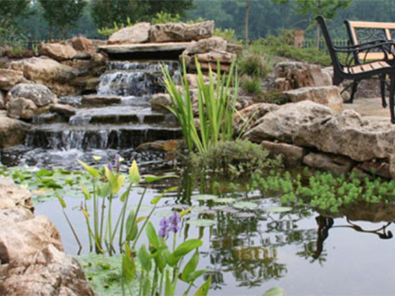Extended waterfall water features over natural stone that extends into a Koi pond.
