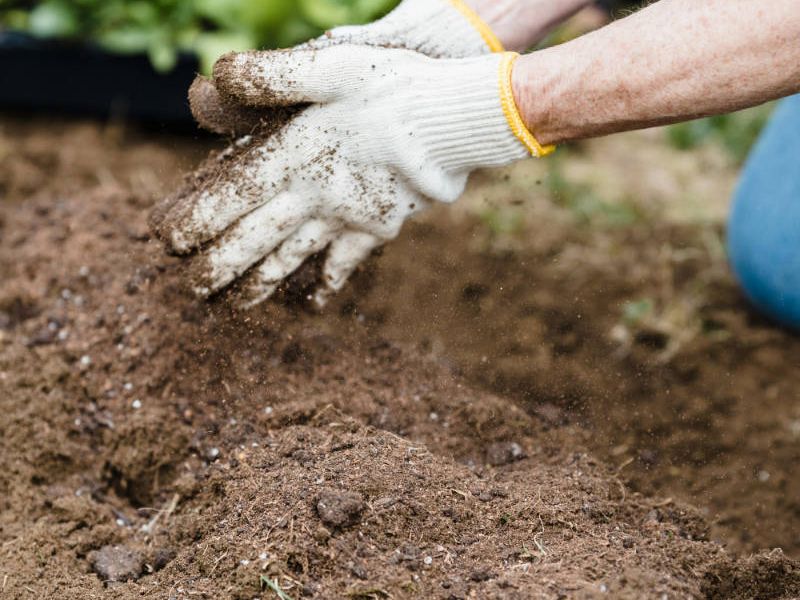 Landscape installation handling soil mixture.