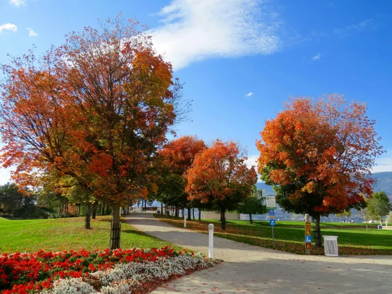 Business with a large lawn and landscape.