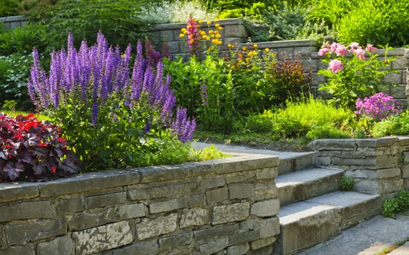 Stone walkway through a garden.