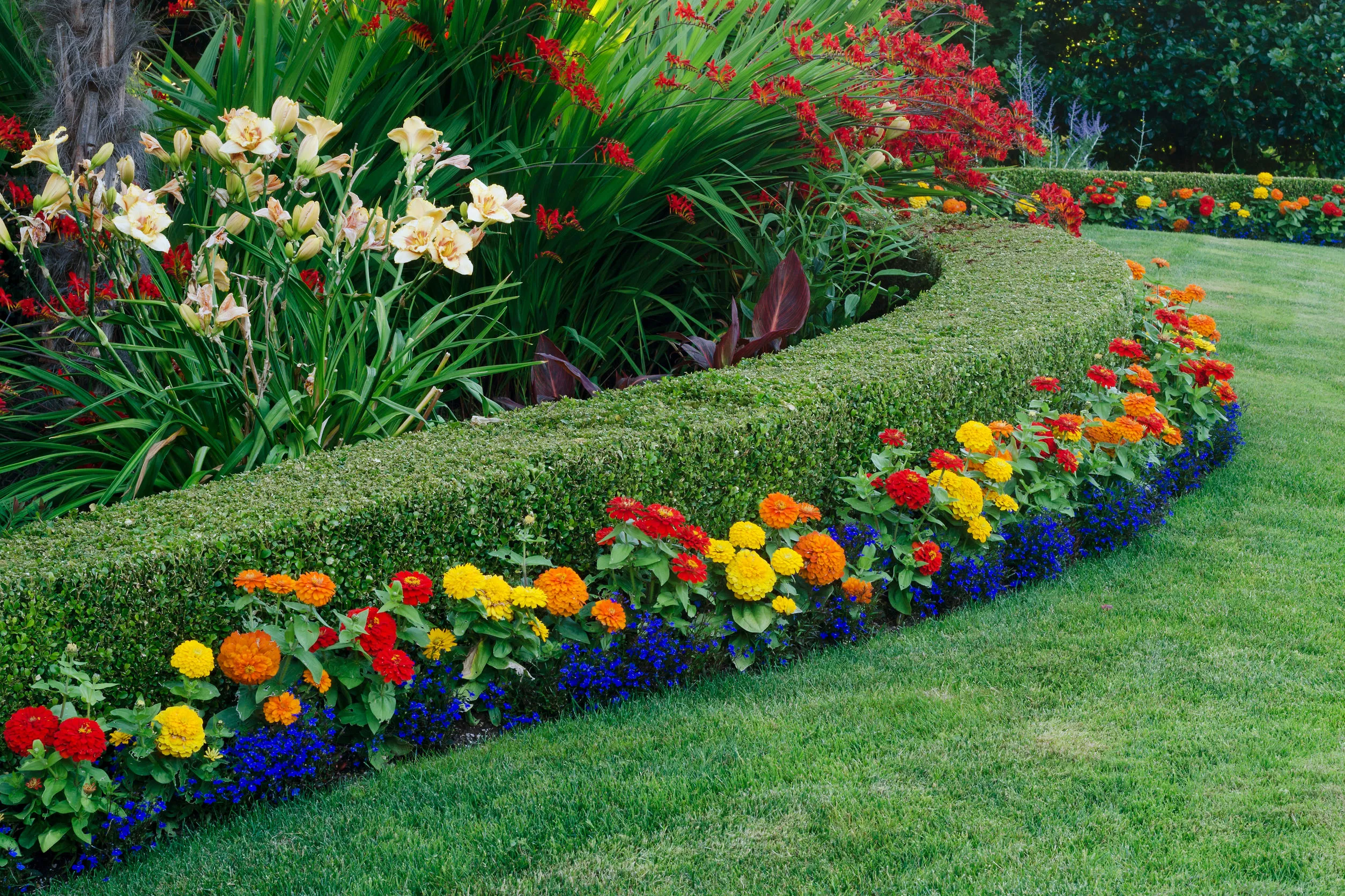 Nicely manicured yard.