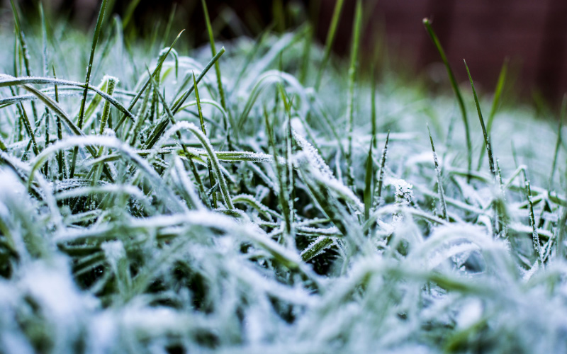 Winterizing your garden.
