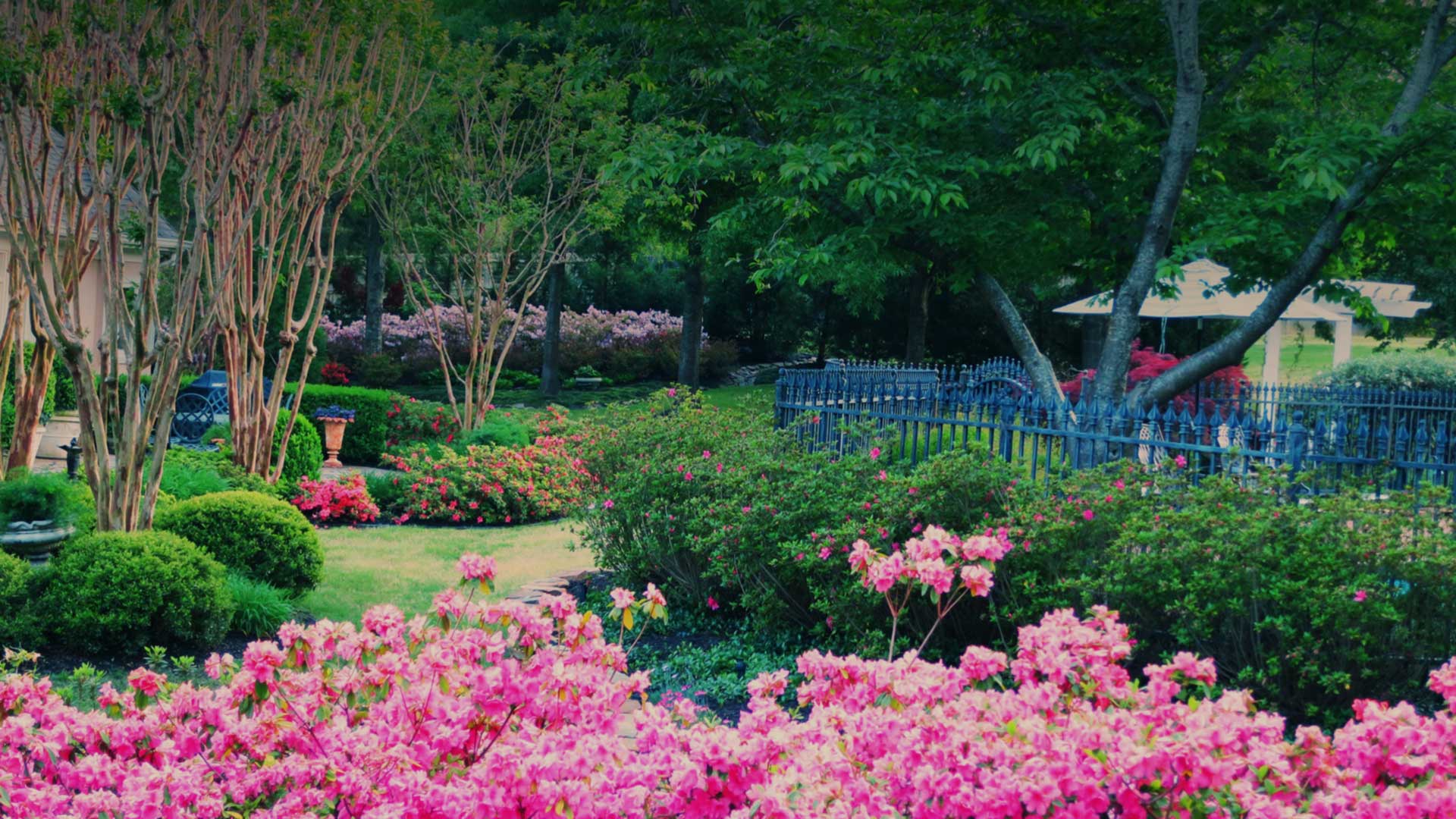 landscape design Collierville tn