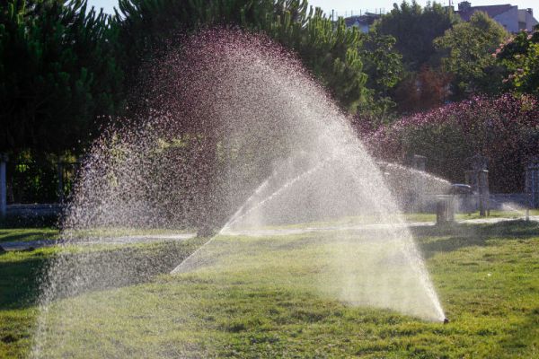 Irrigation systems can improve soul quality and enhance plant health.